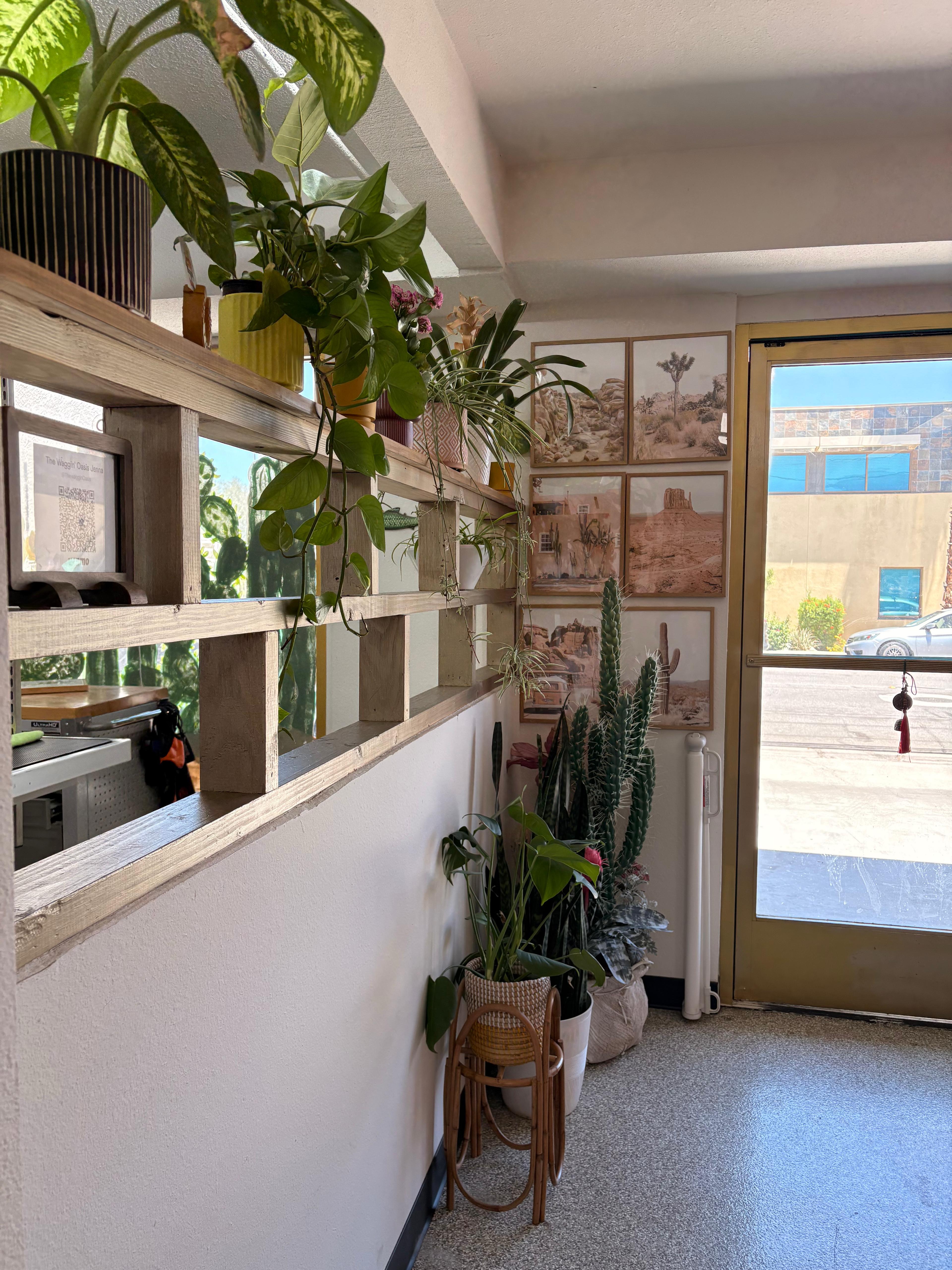 Entrance with desert oasis decor