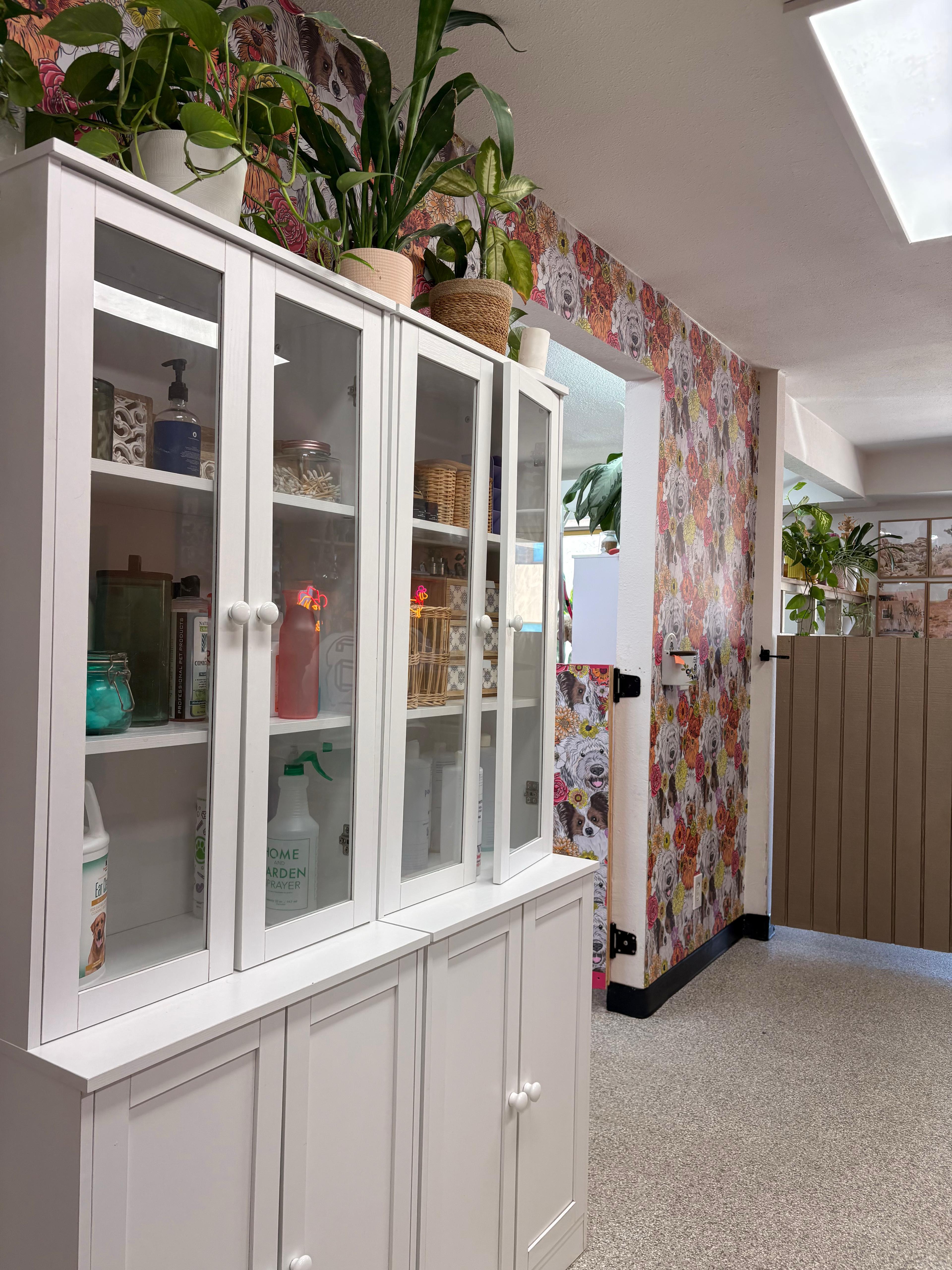Grooming supplies and facility interior